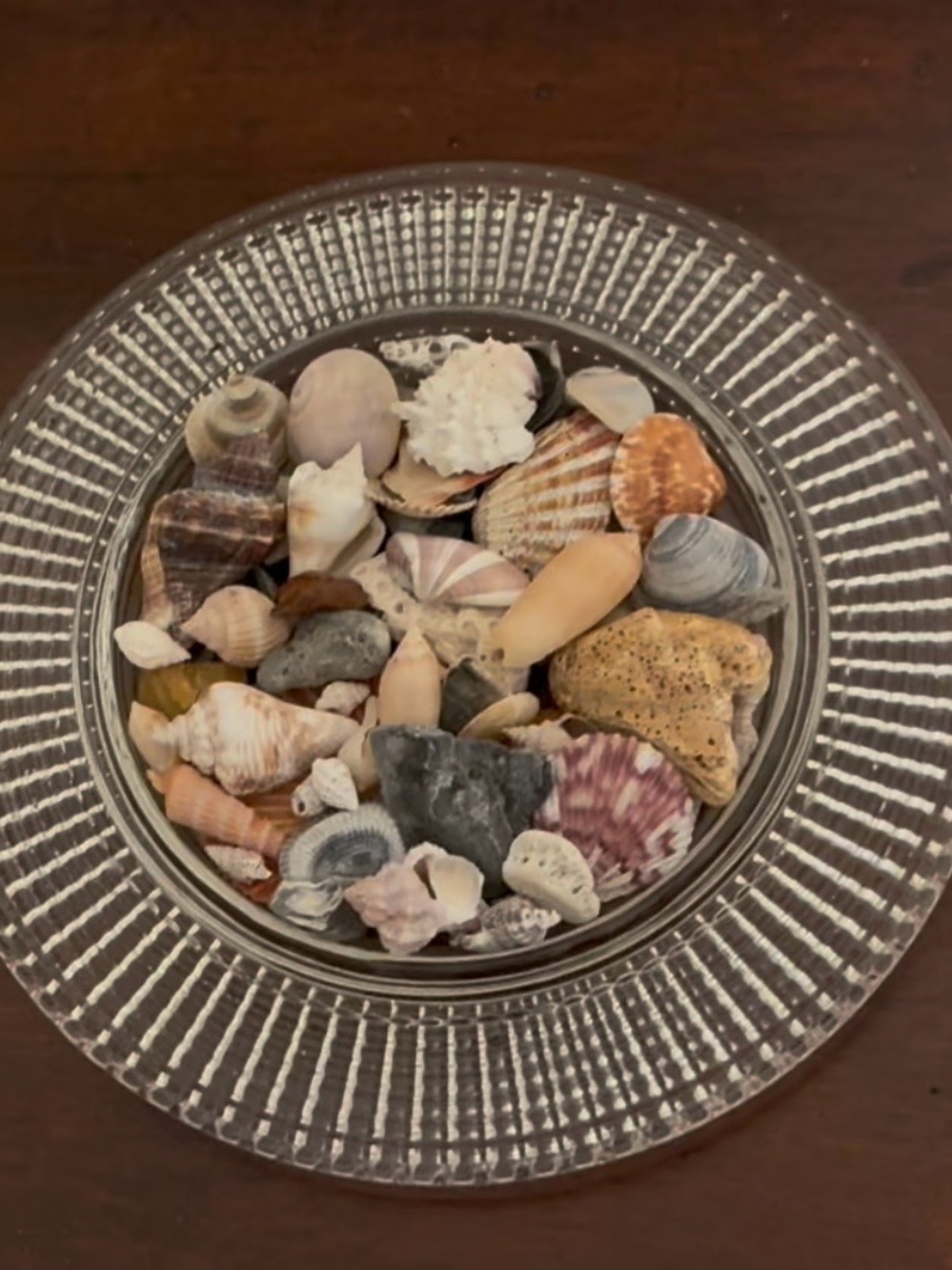 Clear dish w/vintage ribbed design, handpicked shells included.